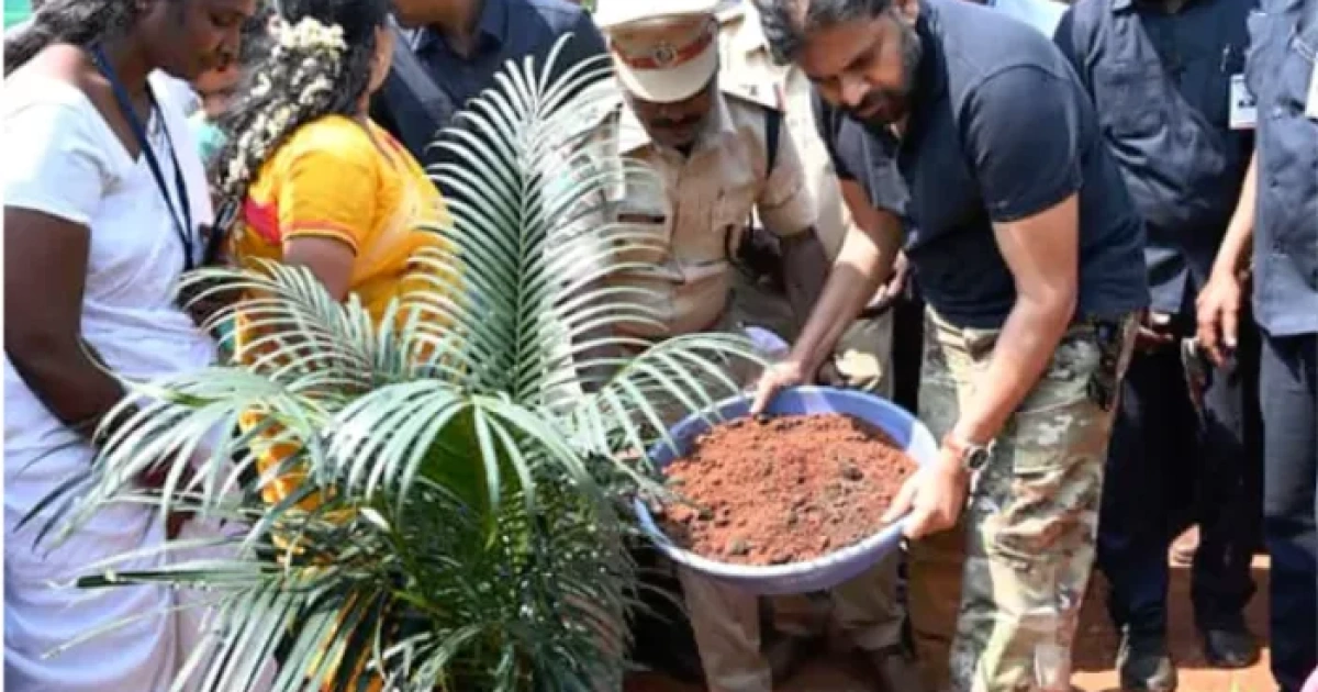 pawan planted saplings in a forest area